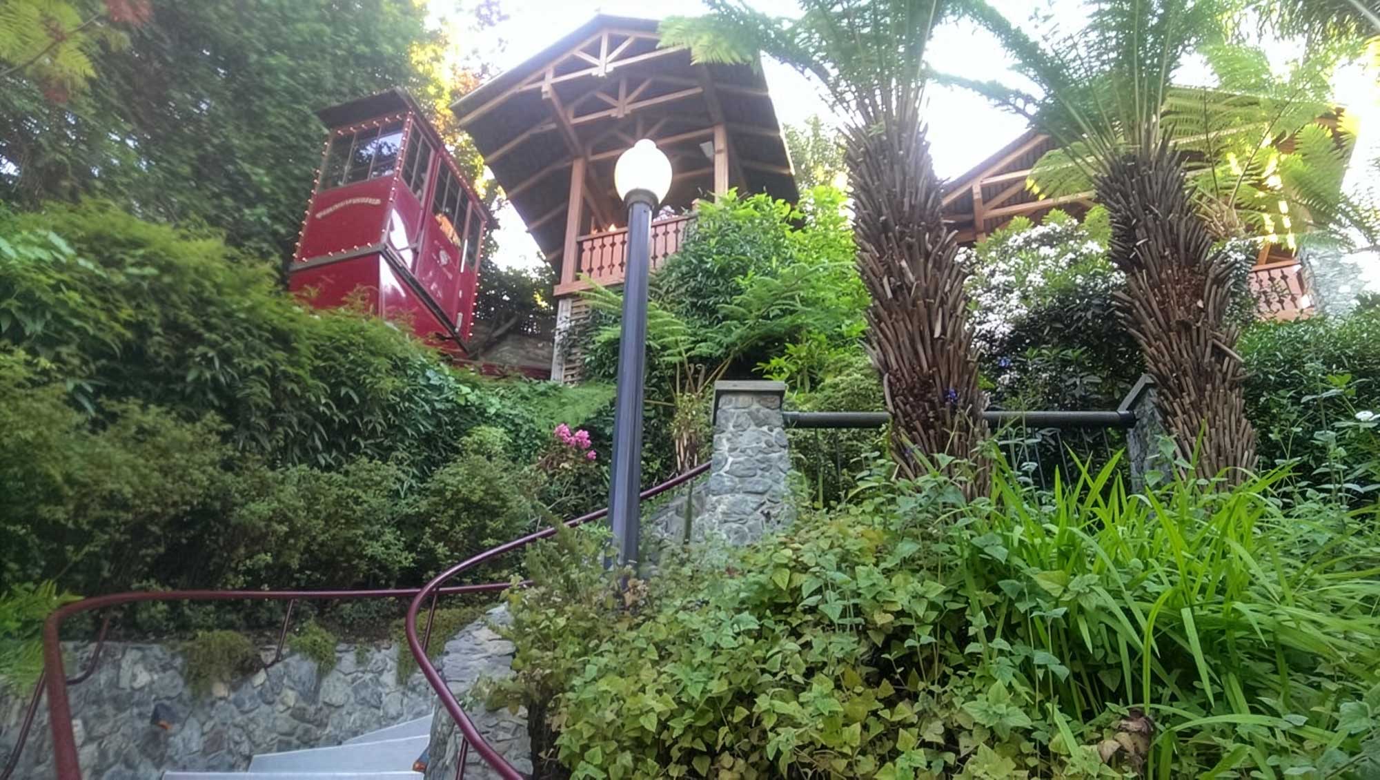 The red Shadowbrook cable car car moving along its track through a dense, green hillside garden filled with ferns and ivy.