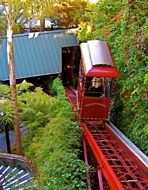 Shadow_brook_tram-01